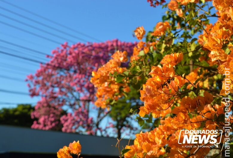 Primavera será marcada por calor, com chuvas dentro da média e risco de incêndios