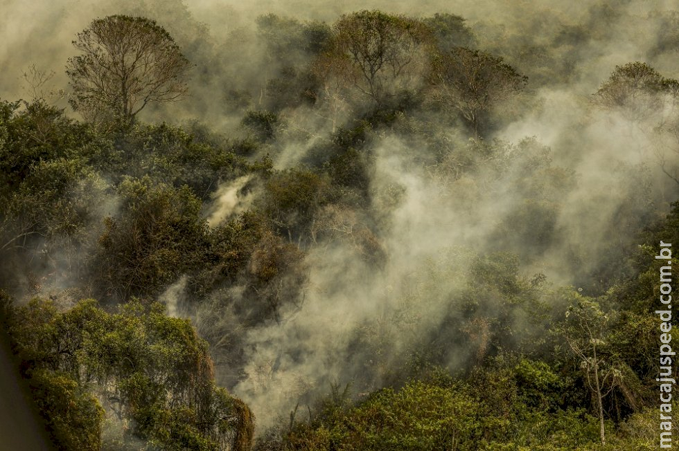 Subcomissão do Pantanal no Senado fará visita ao Mato Grosso para analisar os danos causados pelo fogo