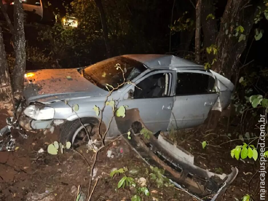 Carro fica destruído após bater em capivaras e cair em ribanceira em Paraíso das Águas