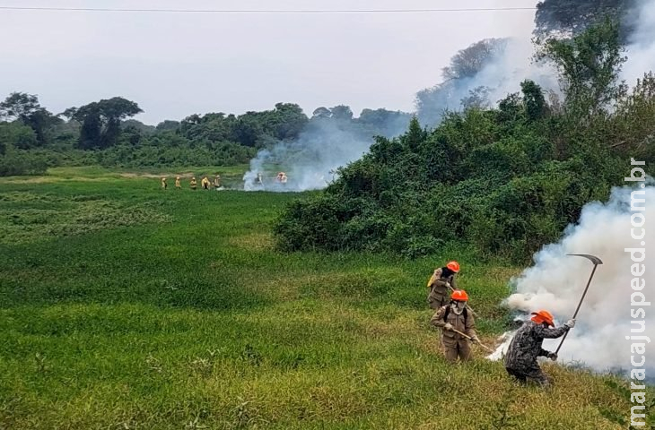 Em 12 dias, chuvas acima da média contribuem para controlar focos de incêndios no Pantanal de MS