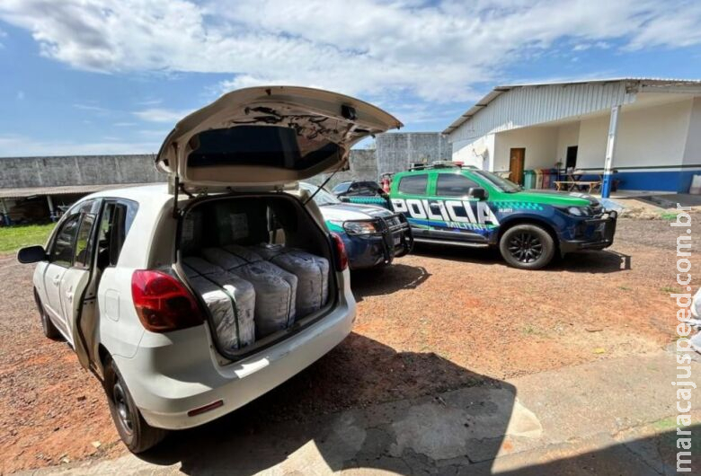 Polícia Militar Ambiental apreende maconha e prende traficante