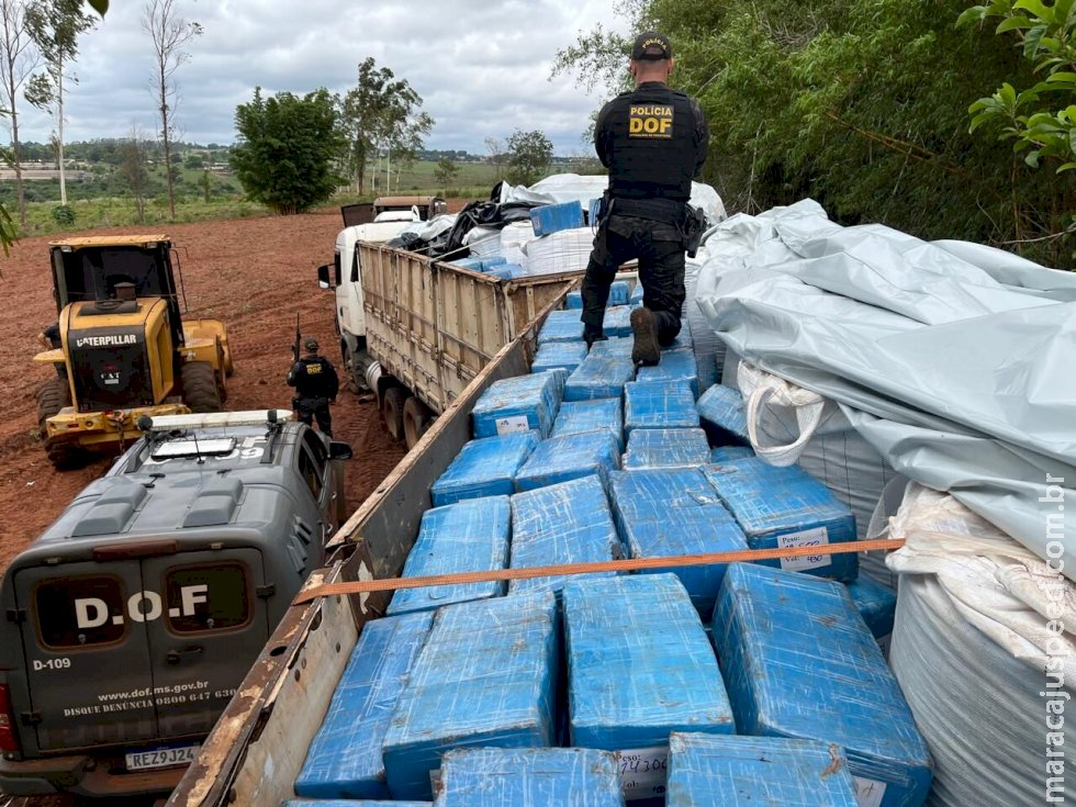 DOF apreende carreta com 8 toneladas de maconha em meio a carga de fertilizantes