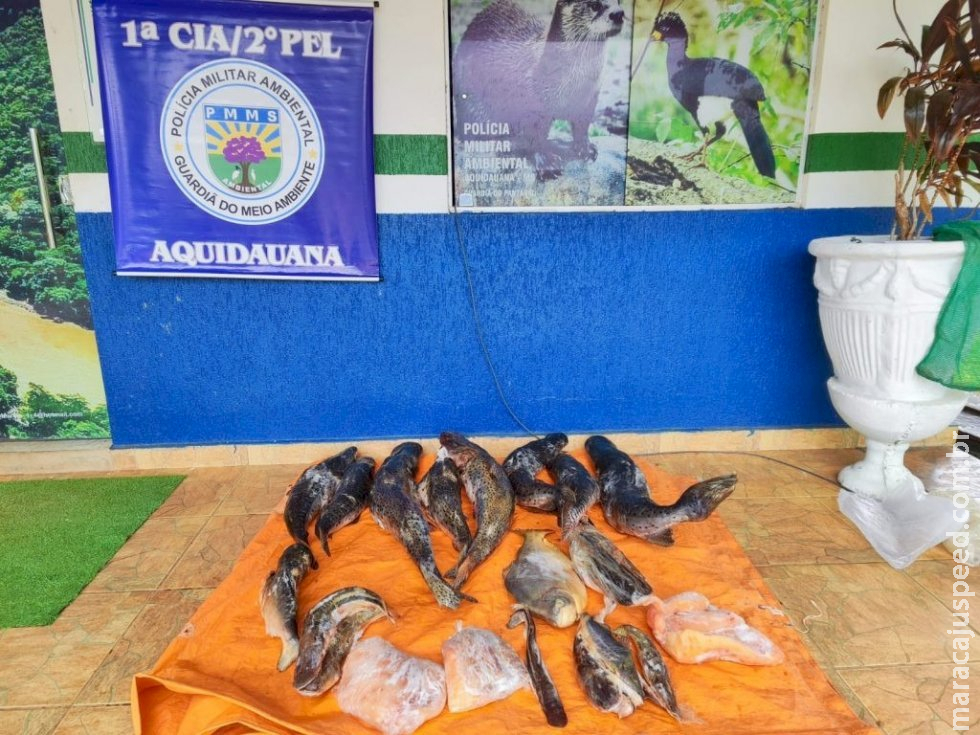 Fiscalizações da operação Piracema já apreenderam 270 quilos de pescado