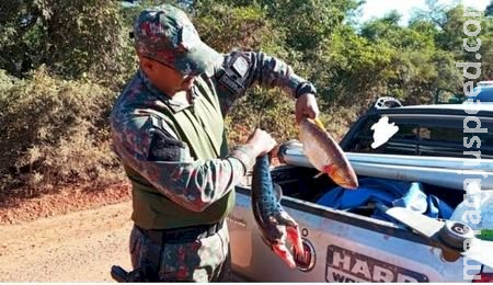 Homem é preso em Bonito com pescado Ilegal com exemplar de uma cachara e pintados fora das especificações legais