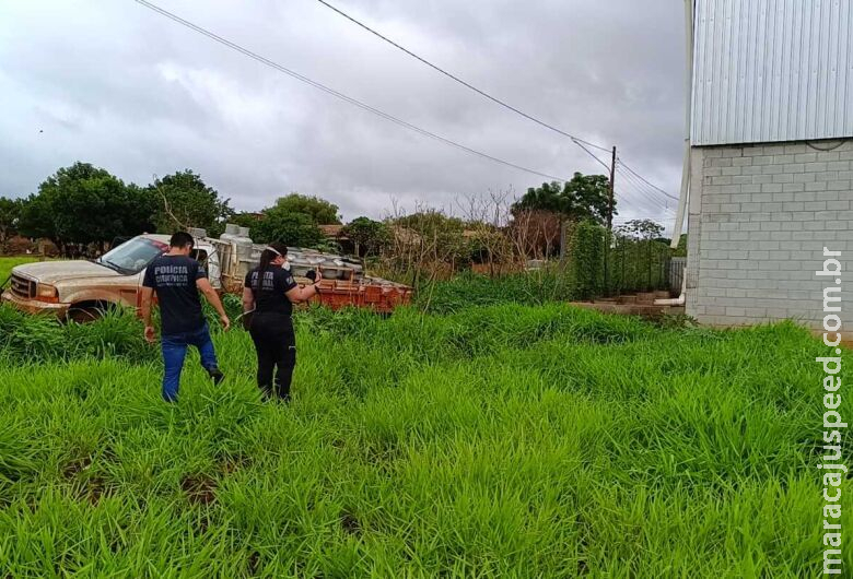 Corpo em avançado estado de decomposição é encontrado em Dourados