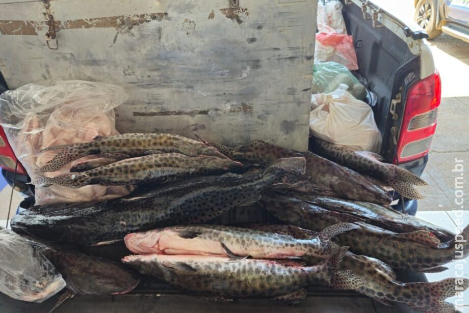 Em menos de 50 dias, Operação Piracema já apreendeu mais de 400 kg de pescado em MS