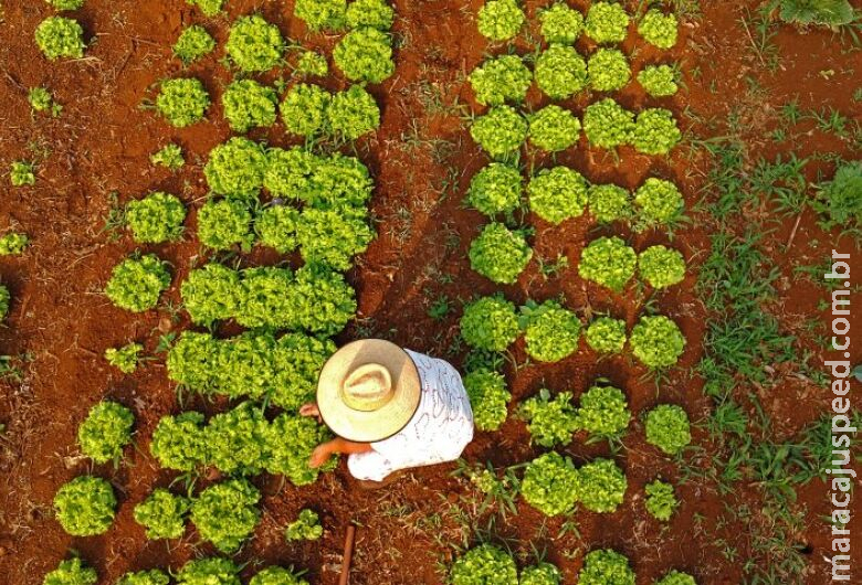 Governo de MS começa a pagar apoio de Fomento Rural para famílias de Corumbá