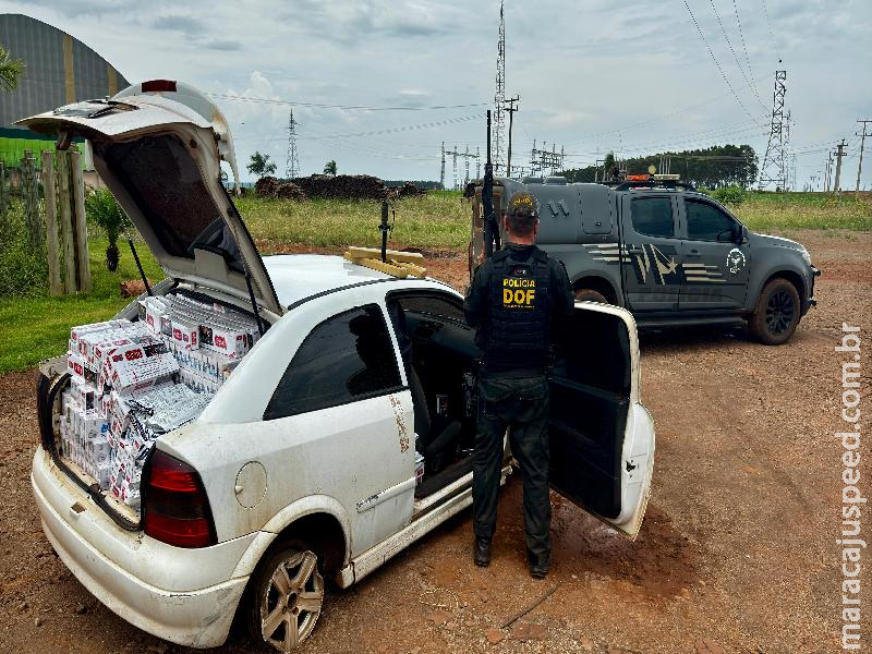 Maracaju: DOF apreende mais de 200 quilos de drogas em meio a carga de cigarro e agrotóxico