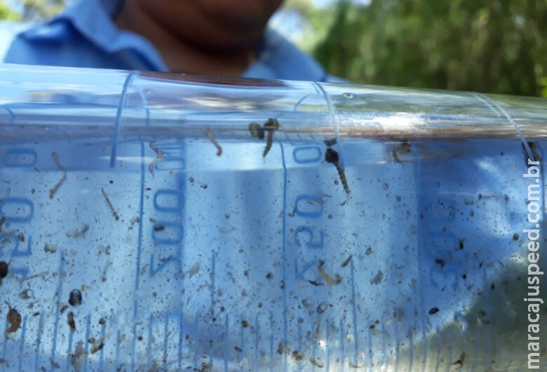 Mato Grosso do Sul ultrapassa 16 mil casos confirmados e 19 mil prováveis de dengue