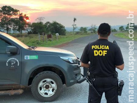 Mulher de Sidrolândia é detida pela DOF com maconha que disse que "era para o marido"