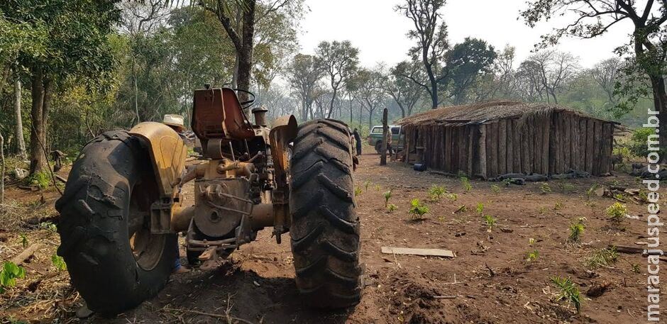 Trabalhador rural é atacado por enxame de abelhas e morre em Camapuã