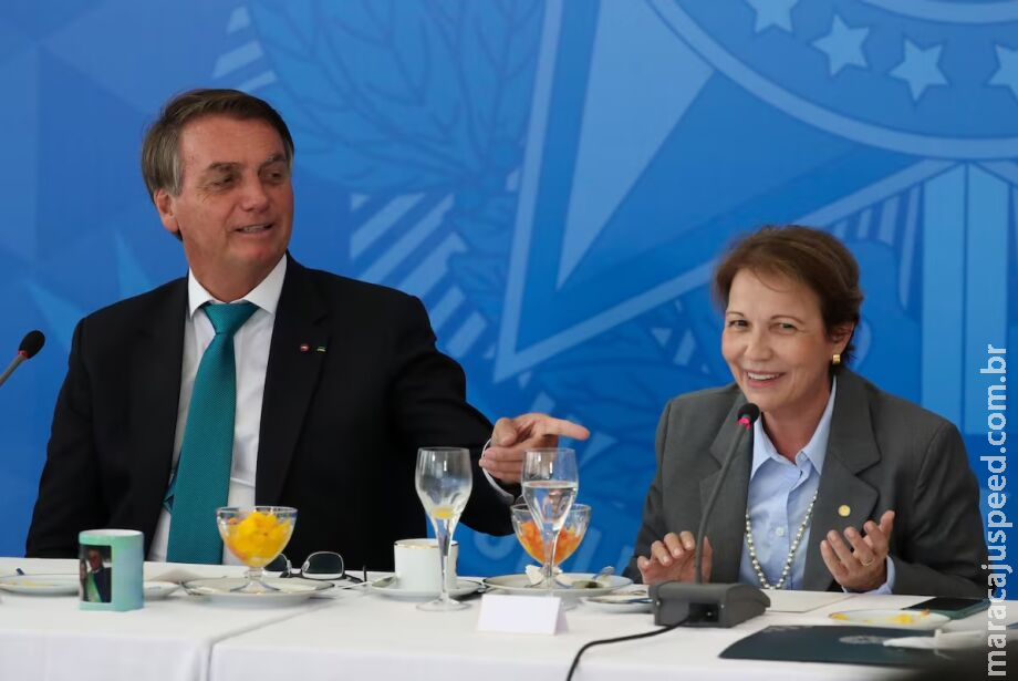 Bolsonaro detona senadora de MS e manda recado para Tereza Cristina