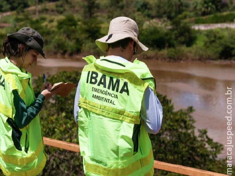 Com vagas em MS, Ibama abre concurso com salário de até R$ 9,9 mil