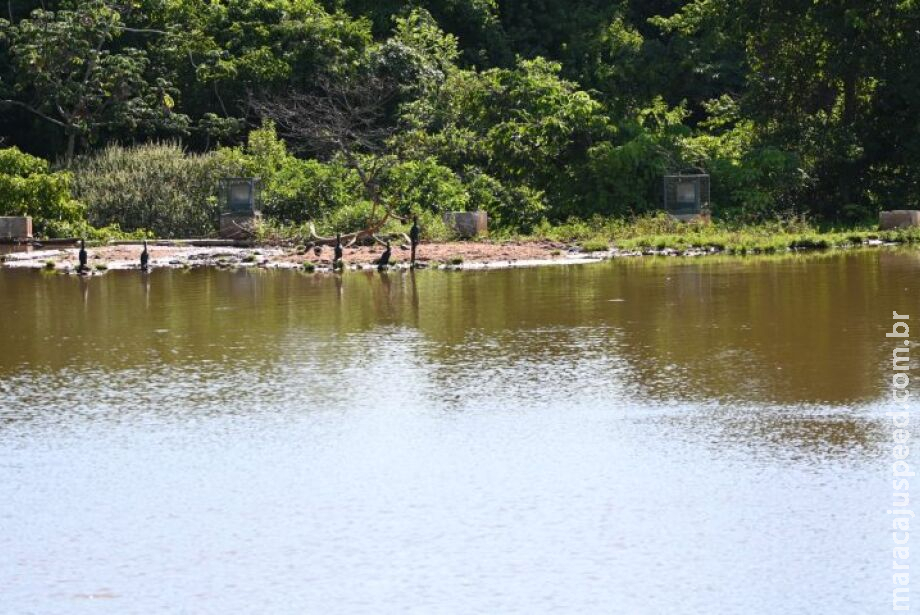 Desassoreamento de lago das Nações Indígenas apresenta resultados