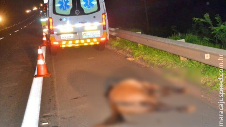 Motociclista e cavalo morrem em batida em rodovia na fronteira com Paraguai