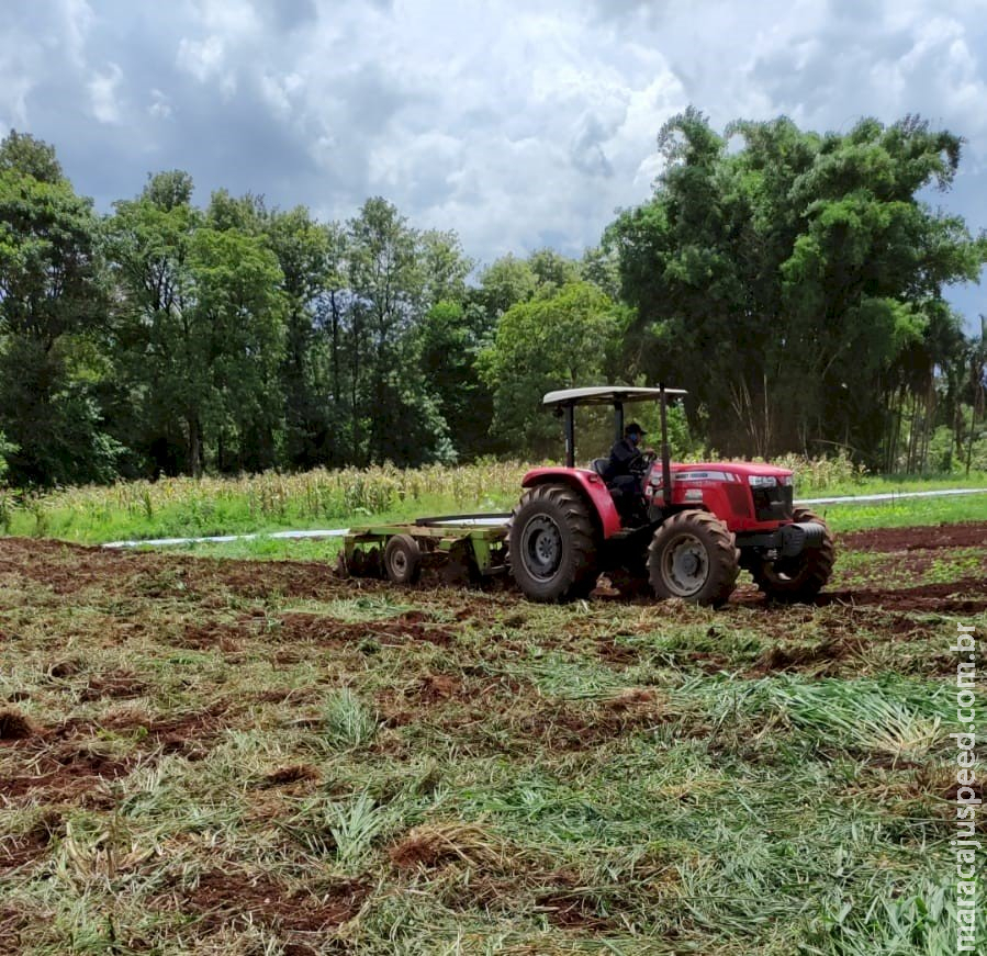 Agricultores já podem aderir ao “Desenrola Rural