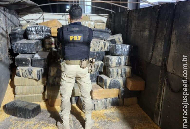 Carreta com mais de 3 toneladas de maconha é apreendida no Sul do Estado