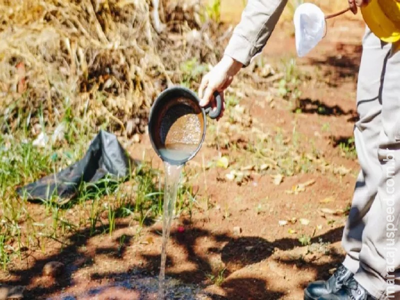 Morador de Nova Andradina é a segunda morte por dengue de 2025 em MS