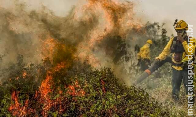 Pesquisa aponta queda na umidade do Pantanal e maior risco de incêndios em 2025