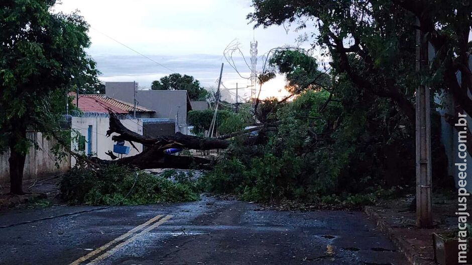 Prepara o guarda-chuva: chuvas intensas estão previstas até sábado em boa parte de MS