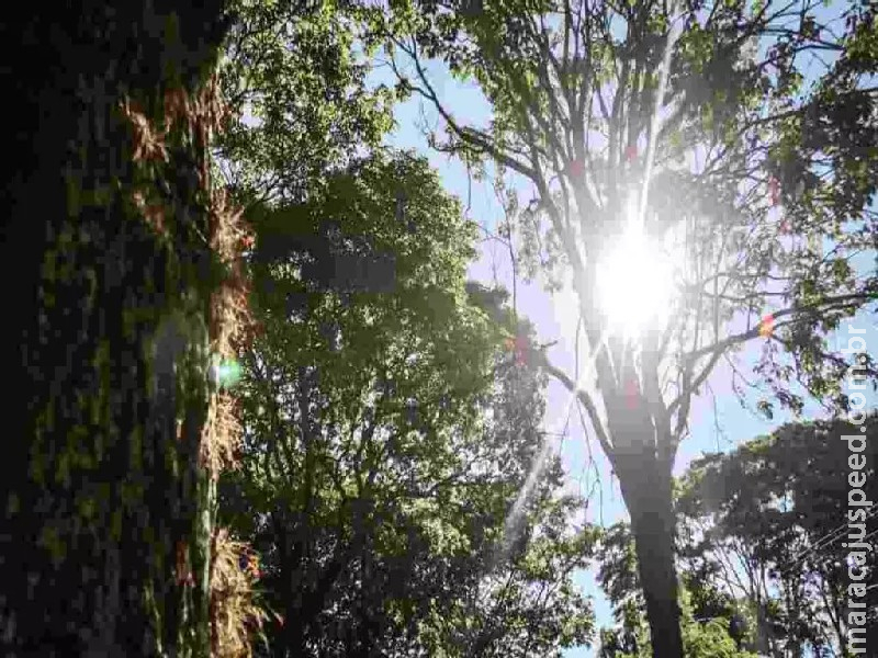 Semana termina com alerta de chuvas intensas e temperatura de até 40°C