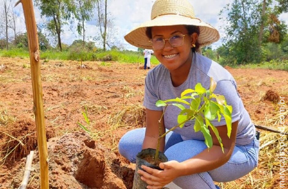 Gestão Riedel traz panorama da agricultura familiar: 41 mil propriedades em MS