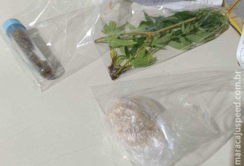 Homem que cultivava pé de maconha em casa é preso com drogas